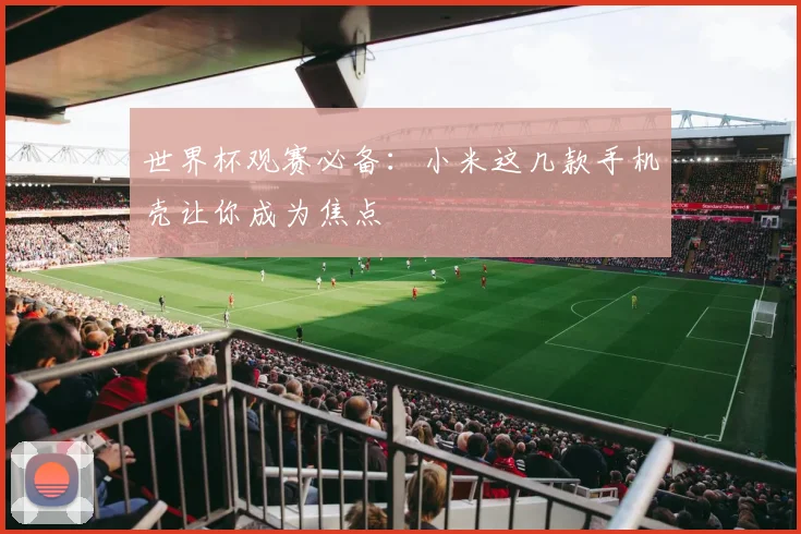 世界杯观赛必备：小米这几款手机壳让你成为焦点