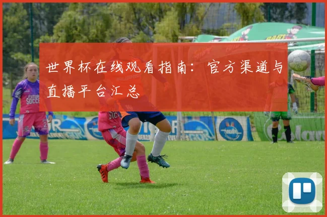 世界杯在线观看指南：官方渠道与直播平台汇总
