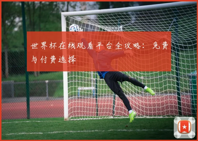 世界杯在线观看平台全攻略：免费与付费选择