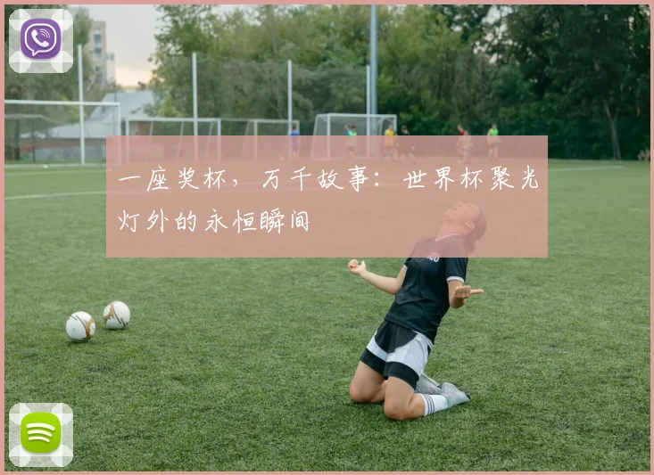 一座奖杯，万千故事：世界杯聚光灯外的永恒瞬间