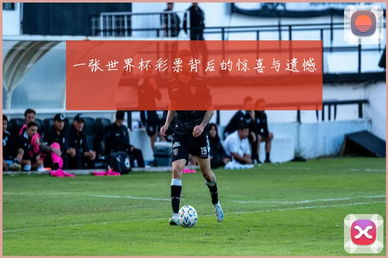 一张世界杯彩票背后的惊喜与遗憾