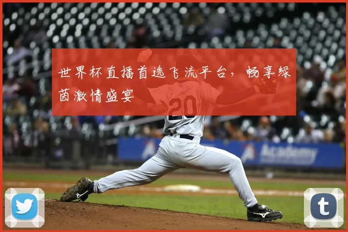 世界杯直播首选飞流平台，畅享绿茵激情盛宴