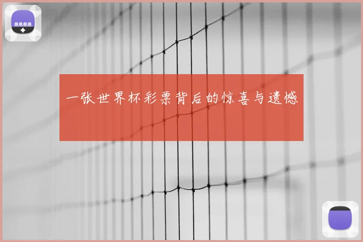 一张世界杯彩票背后的惊喜与遗憾