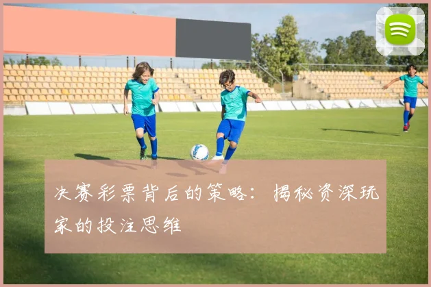 决赛彩票背后的策略：揭秘资深玩家的投注思维