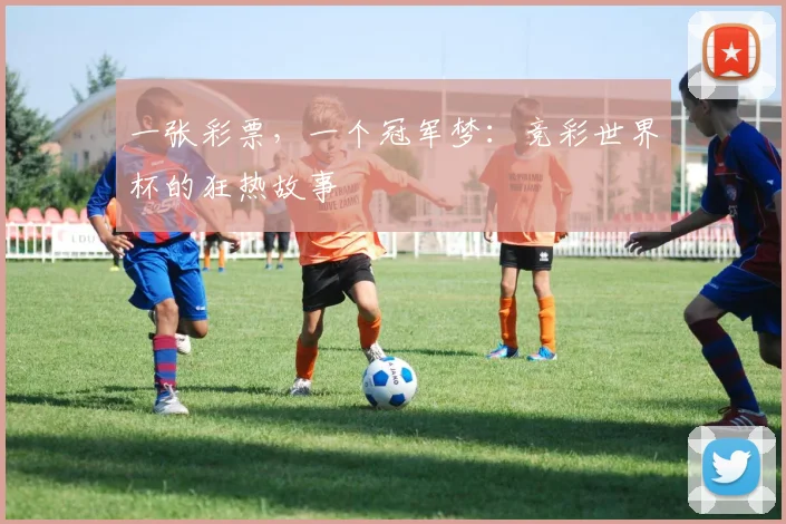 一张彩票，一个冠军梦：竞彩世界杯的狂热故事