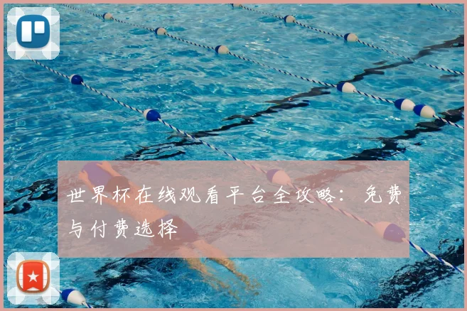 世界杯在线观看平台全攻略：免费与付费选择