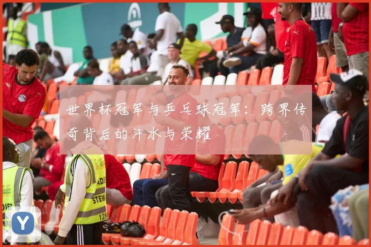 世界杯冠军与乒乓球冠军：跨界传奇背后的汗水与荣耀