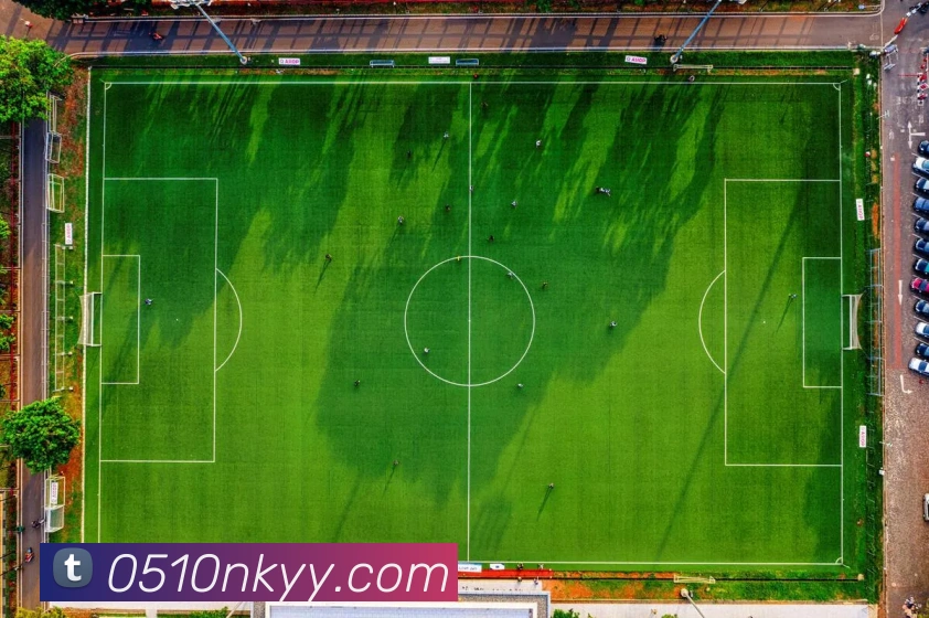 开云手机入口登录官网服务体系